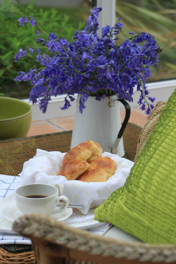 Bed and Breakfast Ty Llwyd Treffynnon Zewnętrze zdjęcie